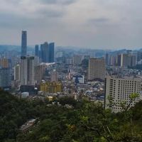国产乳清蛋白粉怎么选才适合日常:产品的配方、含量与速溶指南