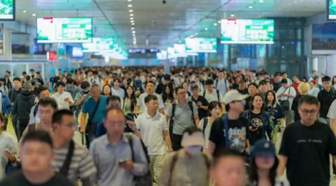 江浙秋假大军来了!上海带娃别光围观,攻守两手都排好了
