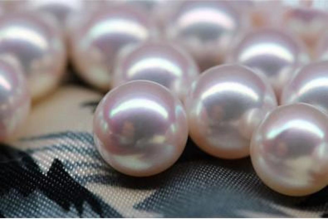 双11买珍珠先分三条价格线｜mikimoto 10月21日刚完成调价，涨价帖里的三个数我都是这么核的