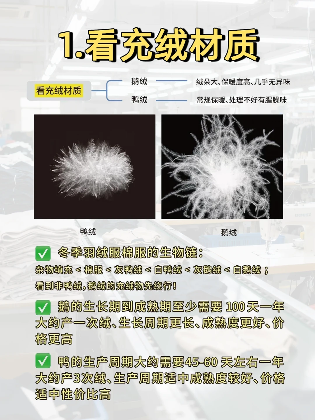 双11挑羽绒服别只盯蓬松度,被藏起来的那个数字才决定暖不暖