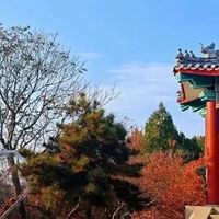 益生菌我不再问哪款最好：7款分别对应什么需求
