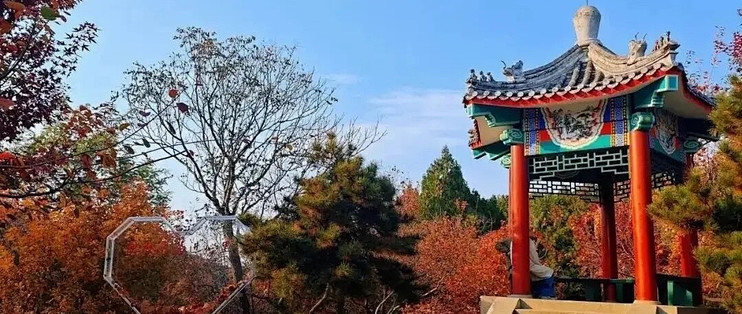 益生菌我不再问哪款最好：7款分别对应什么需求