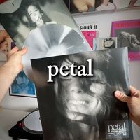 解析Petal独占版封面设计美学