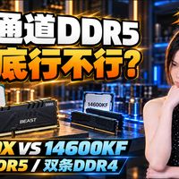 单通道D5行不行？9600X单挑14600KF双通实测