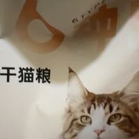 这猫粮袋美到想摆柜子上？