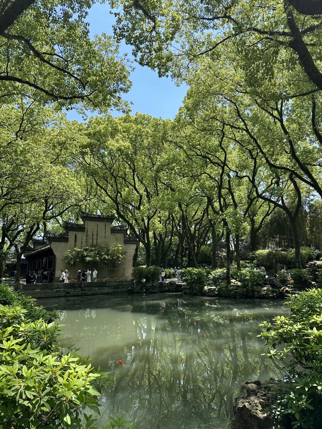 宁波柿子正红！带娃3天2晚，2–12岁，路线和账全排好了