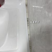 玻璃胶发霉别急着敷84：先捏一捏，硬的敷一夜能救，粉化的不如十几块铲了重打