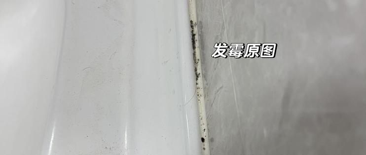 玻璃胶发霉别急着敷84：先捏一捏，硬的敷一夜能救，粉化的不如十几块铲了重打