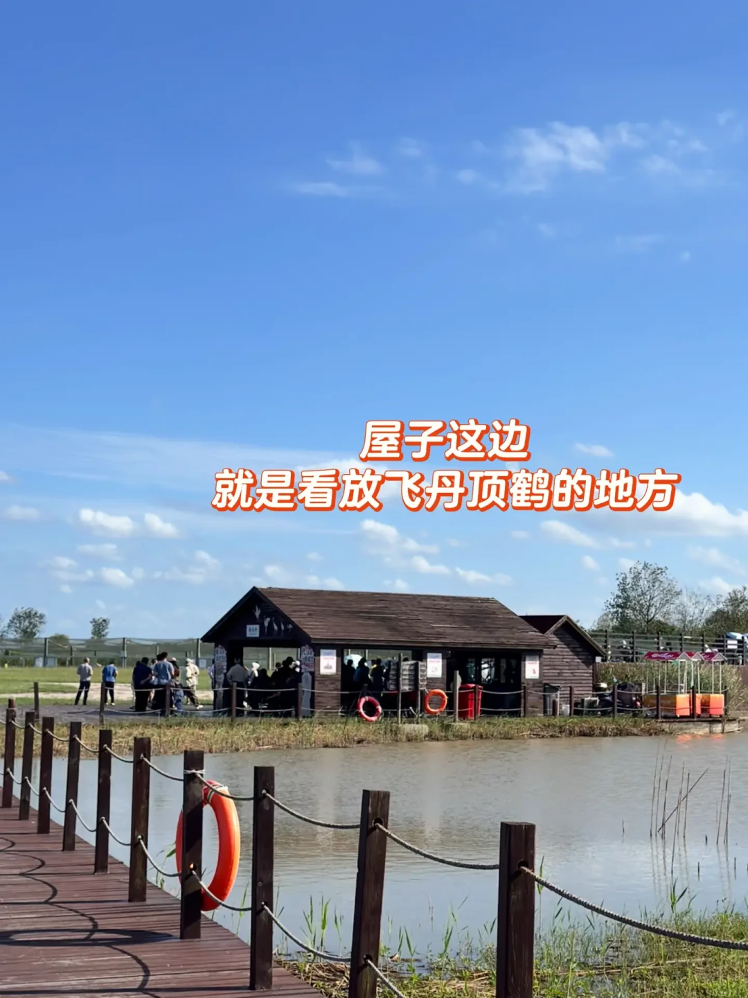 野鹤开始到了,盐城带娃3天2晚,2–12岁路线和账全排好