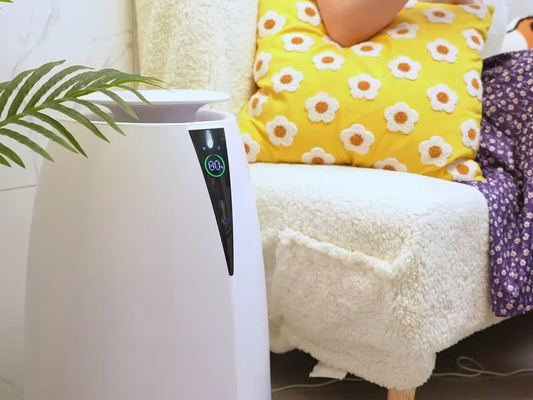 入冬买加湿器:白粉、发霉的滤芯和电表,三条路线的坑各藏一处