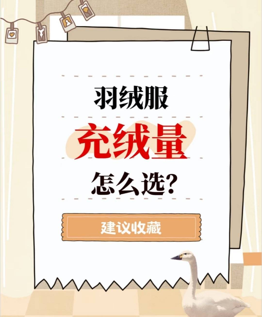双11羽绒服别交学费：从300到2000，这6个牌子一次说明白