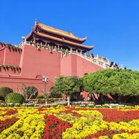 菊花节开了，别只会挤龙亭！带娃开封3天2晚这样排（附预算表）