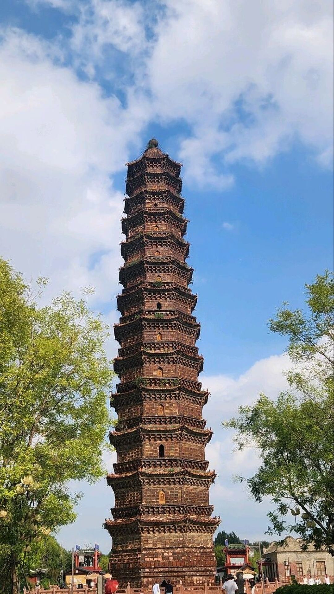 菊花节开了，别只会挤龙亭！带娃开封3天2晚这样排（附预算表）