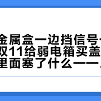 门口的金属盒一边挡信号一边蒸设备：双11给弱电箱买盖板前，先看清里面塞了什么——从0元到399元的四条路