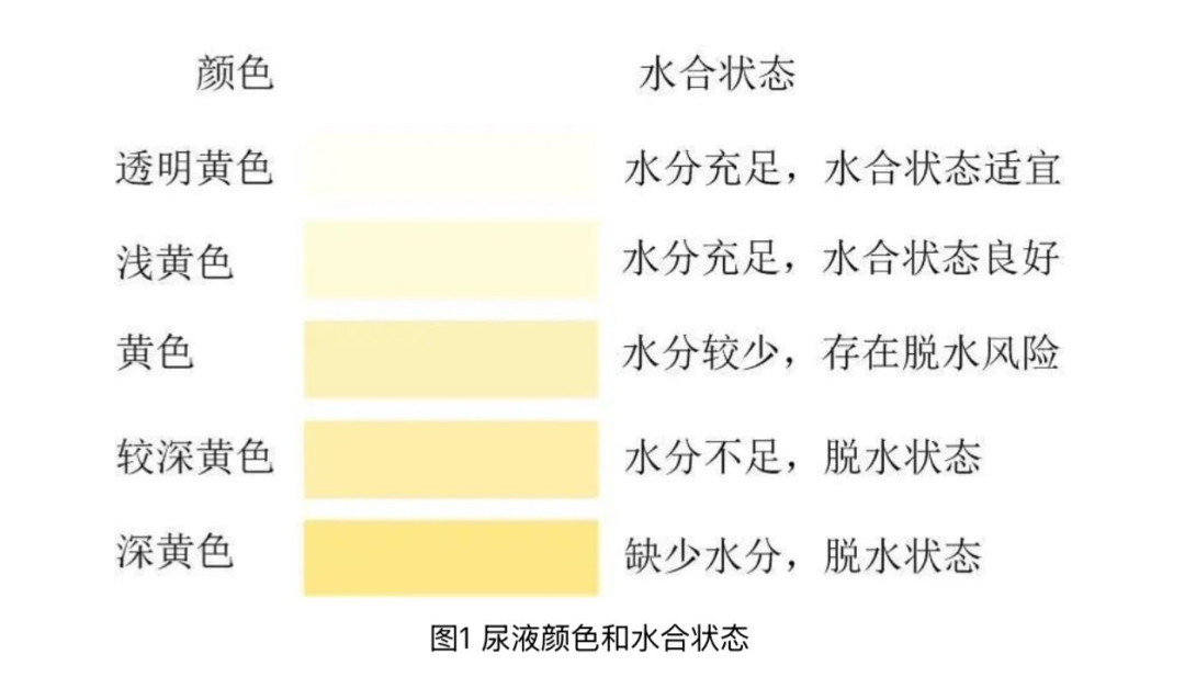 放下奶茶改喝“大水”:方向对了一半,吨吨猛灌那半全是坑