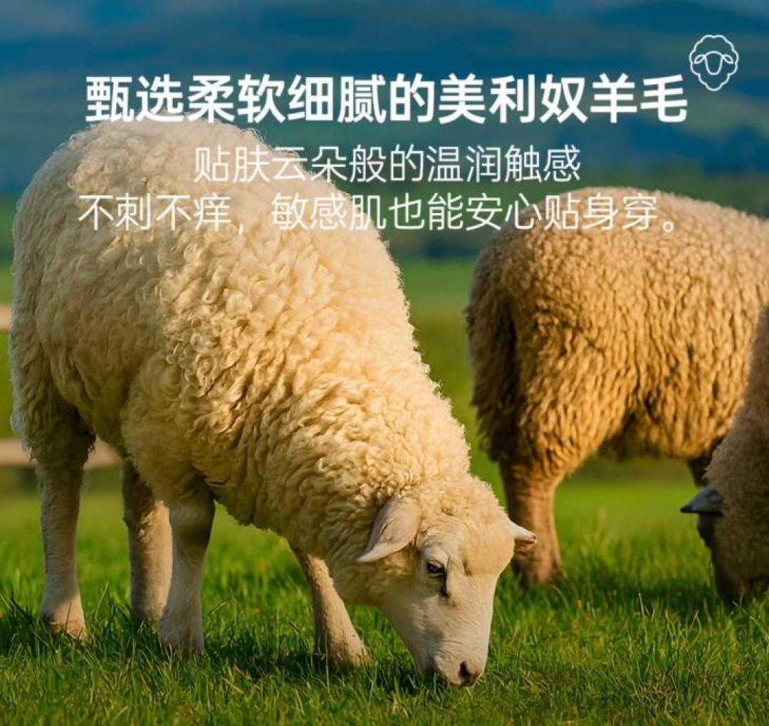 双11买美利奴打底，别迷信「100%纯羊毛」