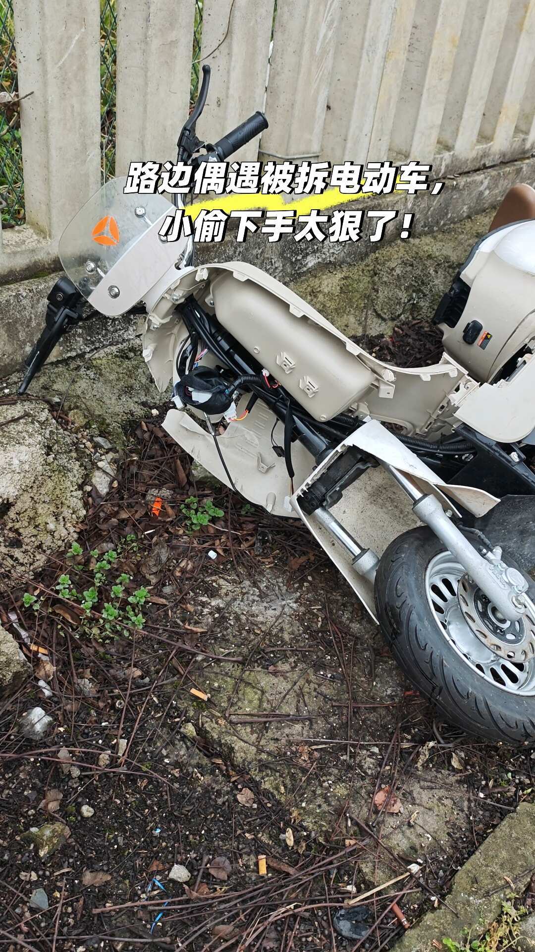 你的雅迪