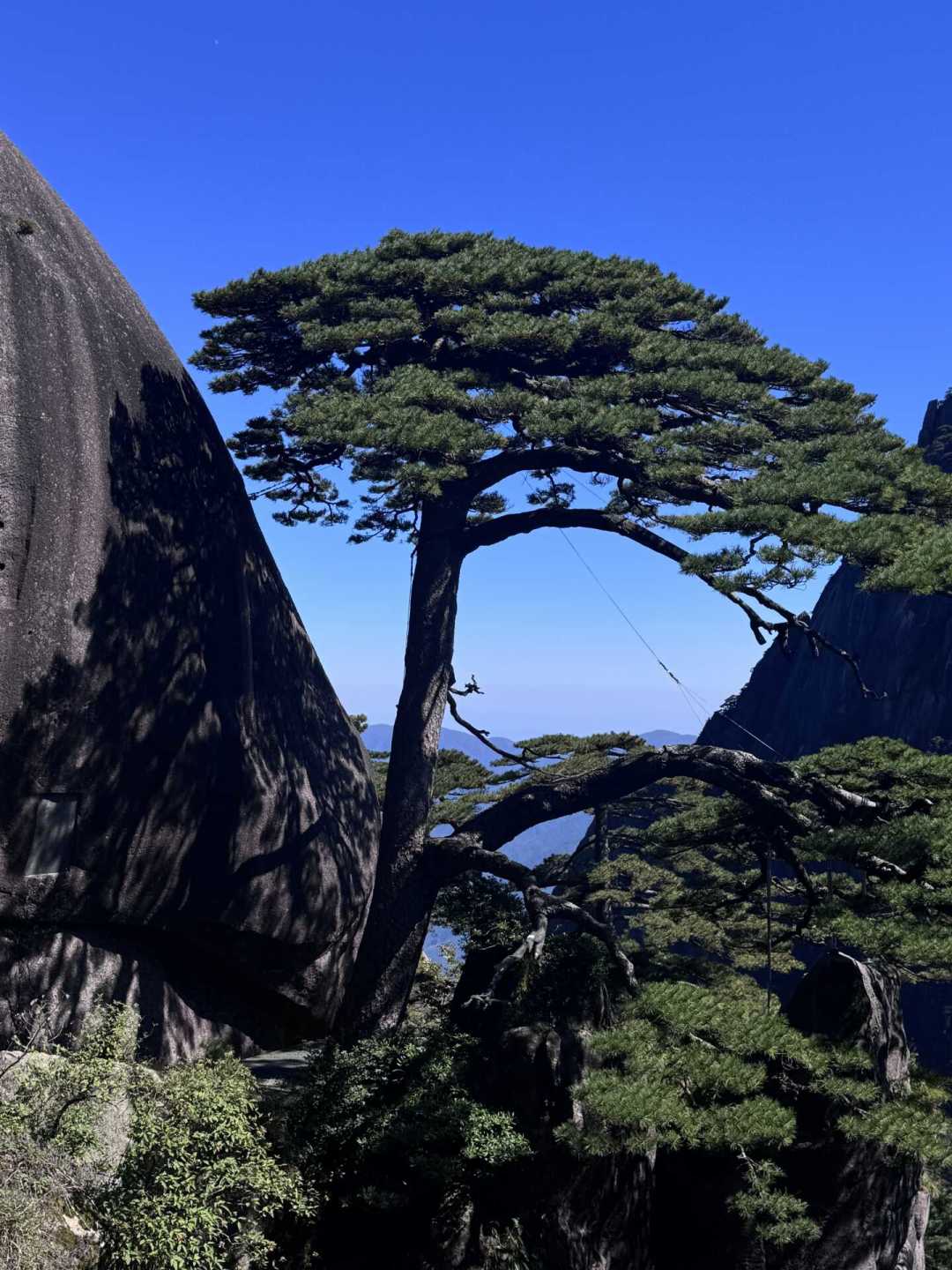 带娃黄山，当日往返还是山顶住一晚？看这两条线再定