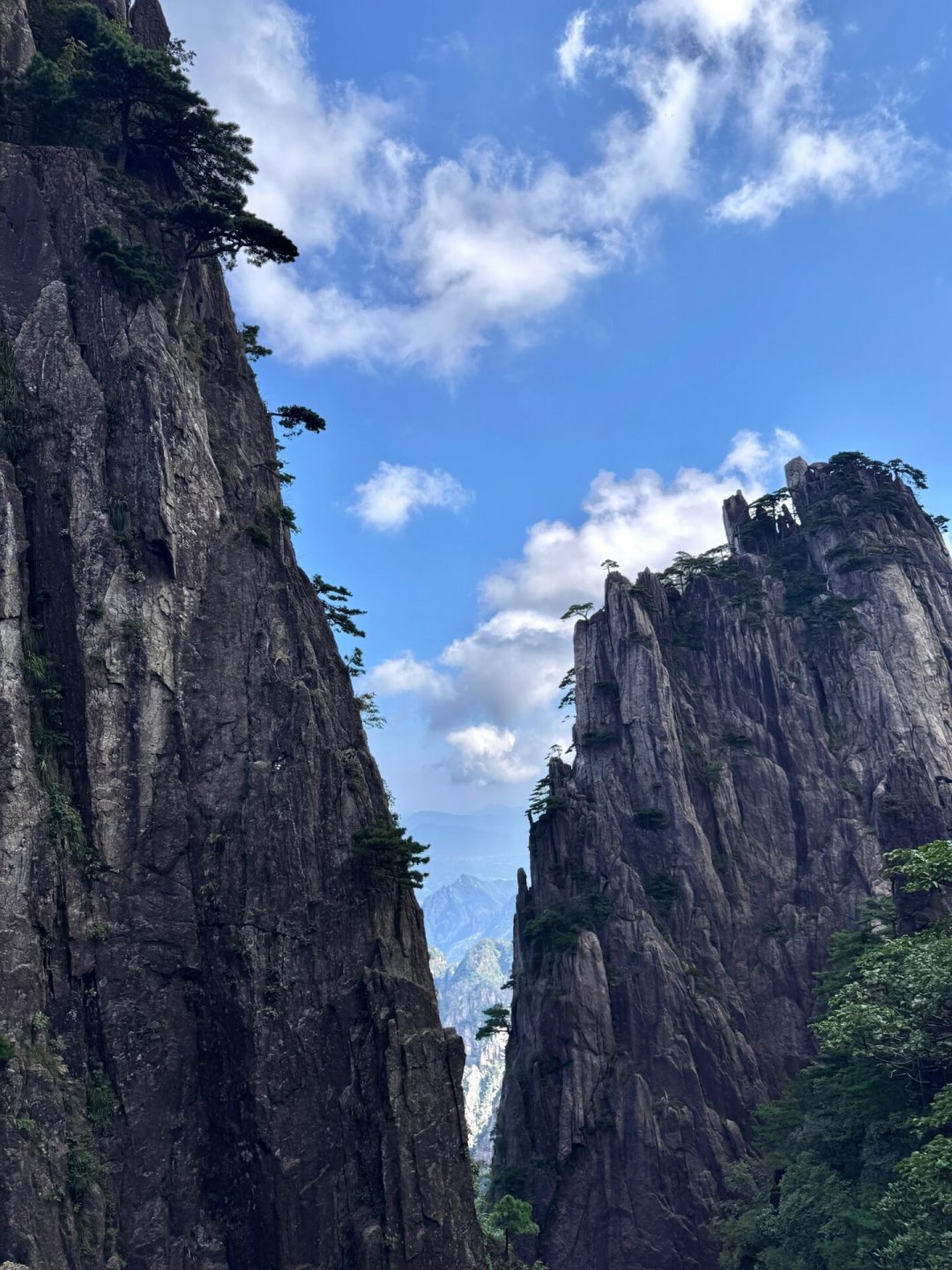 带娃黄山，当日往返还是山顶住一晚？看这两条线再定