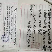 「首批30只9999秒没」撞上「挂牌11800却搜不到旗舰店」：双11蹲海鸥3025的表友，付万把块前先把精磨、来路、退路这三本账对完