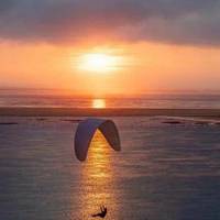 家电分化：海尔长虹三星全球冲刺，京东天猫华凌统帅晶弘逆风行