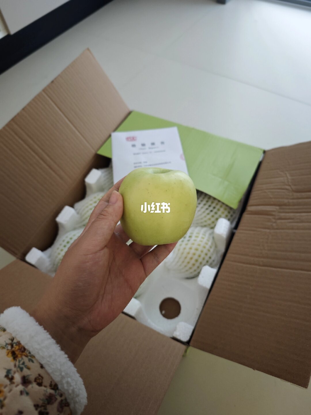晚熟苹果扎堆上市:爱妃10个238元、瑞雪100元12斤,新品种是升级还是噱头