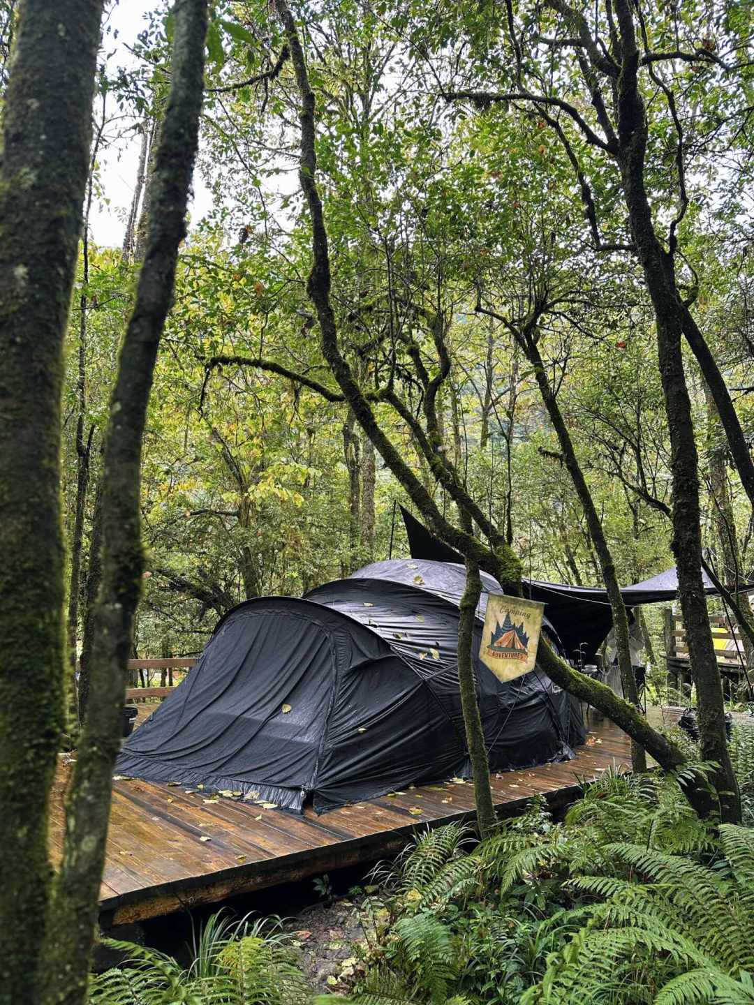 营地真相藏在评论区:对完120条电车露营帖,这个周末出发前先问这6件事