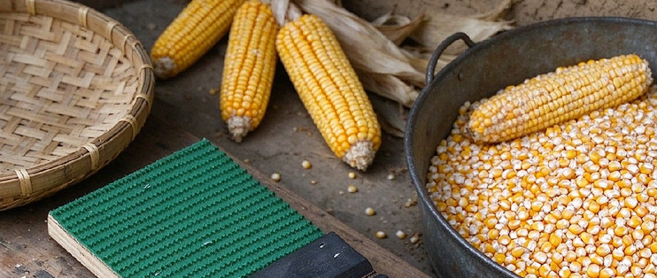 干玉米脱粒不用再抠到手疼，这块搓板搓几下就干净了
