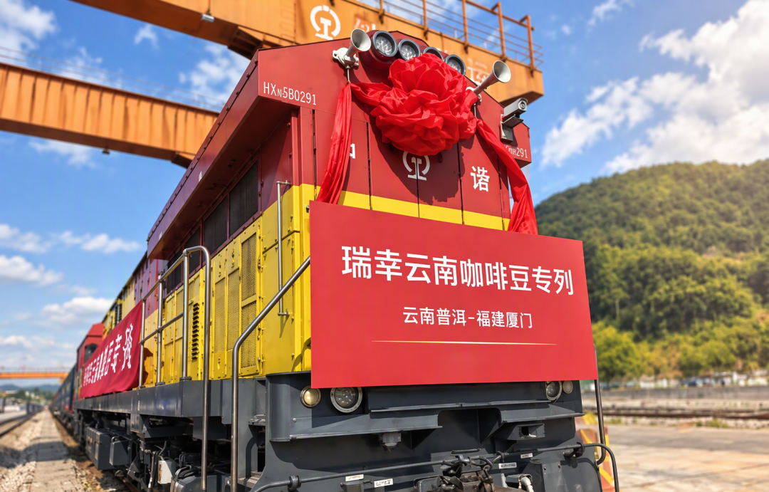 阿拉比卡从47年高点掉下来,双11的咖啡豆却没降价:囤豆前先看懂这张传导图