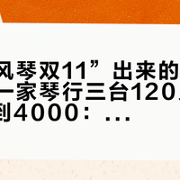 搜“手风琴双11”出来的是电吹管，同一家琴行三台120贝斯挂2500到4000：双11买手风琴的成年人，下单前先把价梯、暗成本、退路这三本账对完