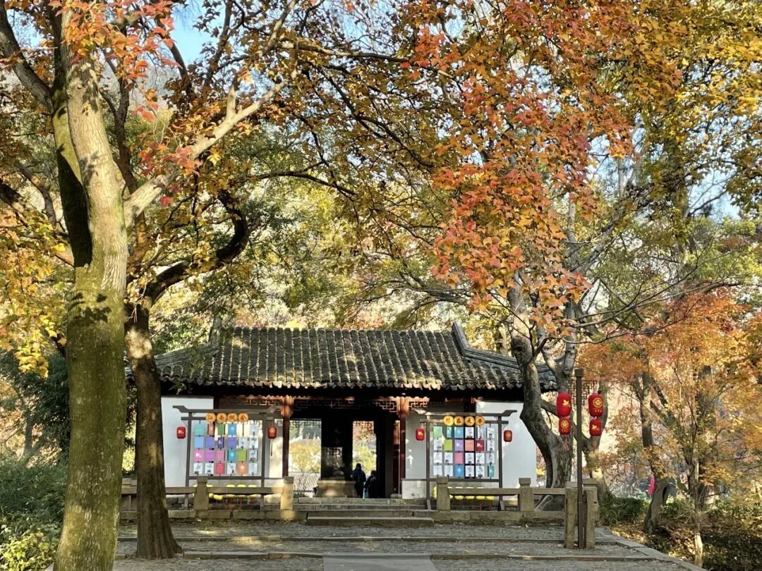 别急着等天平山红透！苏州带娃3天2晚，初红和盛红各有各的玩法