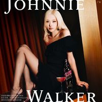 双十一酒价接连跳水，Rosé出任尊尼获加黑牌代言人 | 酒类10.27日报