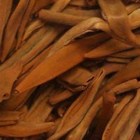 经典58喝着没味道还发霉？先别骂坏茶，差的可能是这两处