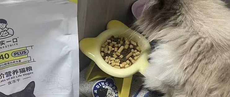 三文鱼油加益生菌，美毛和肠胃能兼顾吗