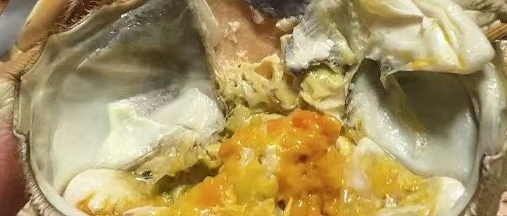 缺脚蟹到底值不值，三两母蟹性价比算账