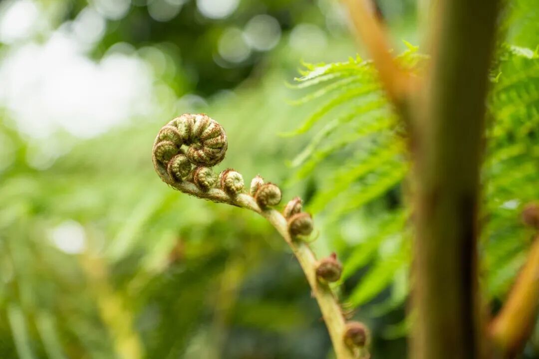破发只用了11天:腾龙16-50的到手价钉在2300,可你的卡口可能还没到货