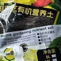 养花土松软透气有多重要，根系说了算