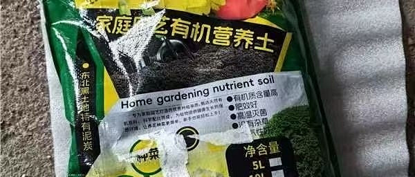 养花土松软透气有多重要，根系说了算