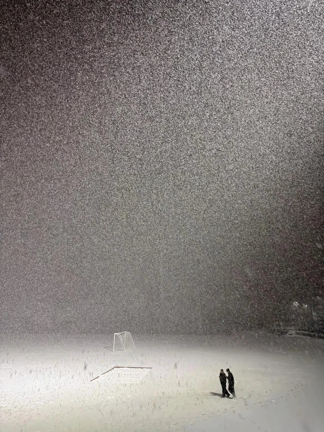 初雪不等你找教程：今年北方的初雪都是