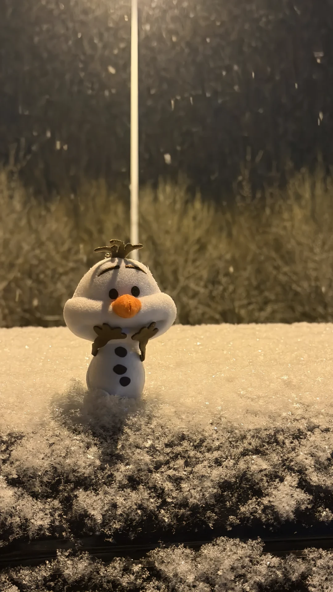 初雪不等你找教程：今年北方的初雪都是