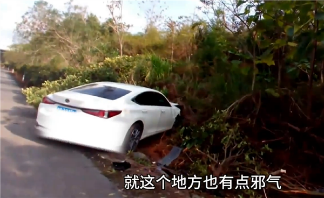 分心驾驶冲进路边灌木丛 司机挽尊：这个地方有邪气！