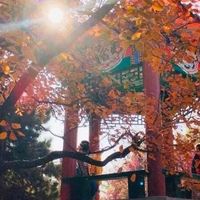 给面膜留15—20分钟，先看胶原成分与实际用途