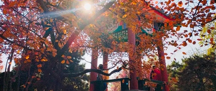 给面膜留15—20分钟，先看胶原成分与实际用途