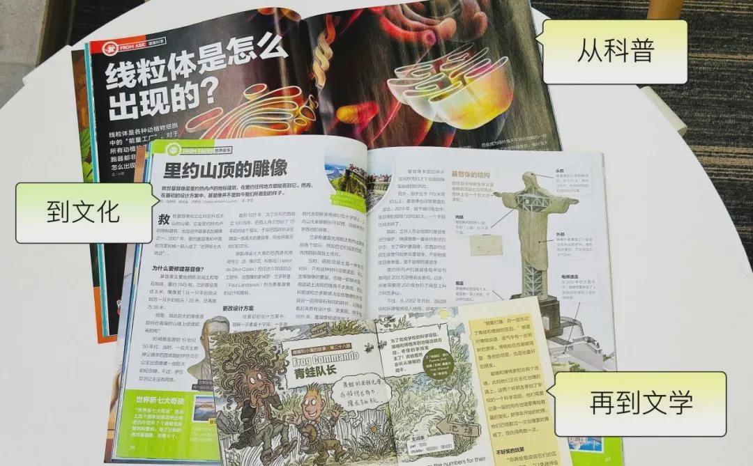 好奇号2027订阅自报价58到330元：10月30日第三波前，先看清自己踩在哪一档