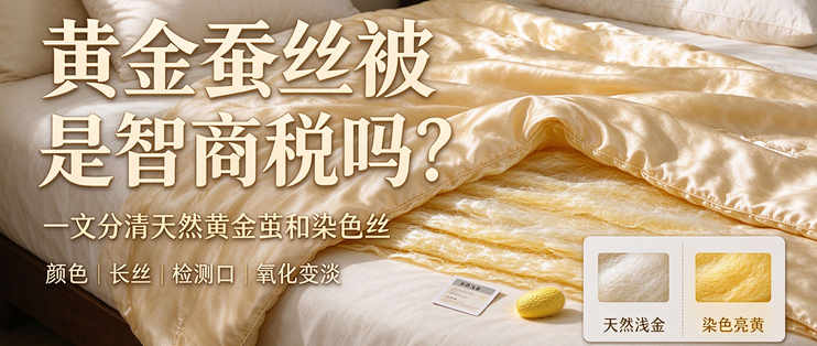 黄金蚕丝被是智商税吗？避坑干货，分清天然黄金茧和染色丝