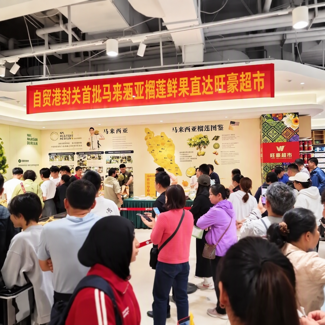 海南封关后第一个过冬旺季：岛民两张牌叠出11万额度、iPhone最高省2140元，但囤日用品的大概率白跑——出发前先对完四本账