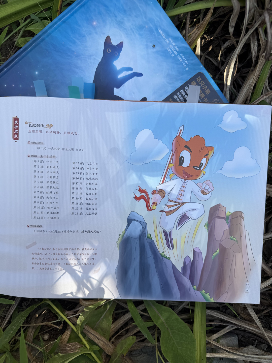 虹猫抡着30公斤的剑,我劝你收这本128的设定集,但亲签得赌
