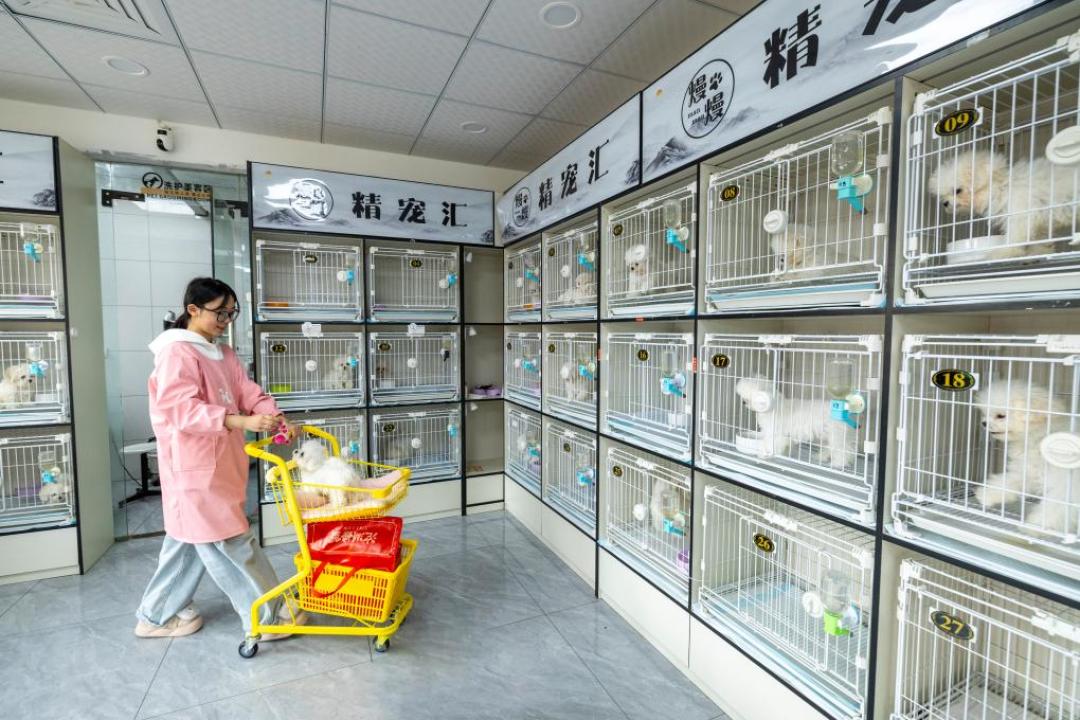 1700万人上头养异宠：先别急着入坑，这3道关得过