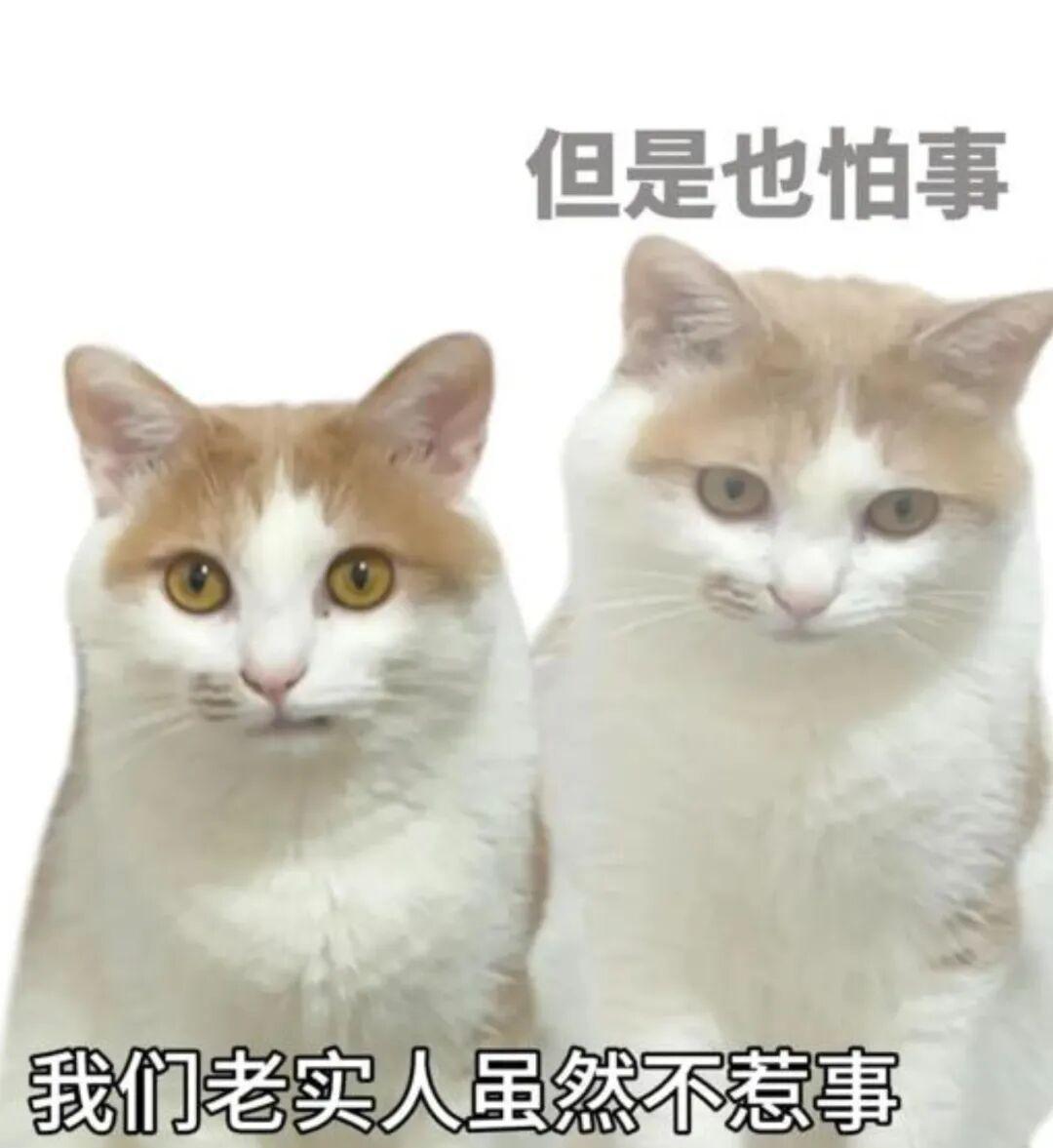 1700万人上头养异宠：先别急着入坑，这3道关得过