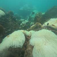 11月起涨到2200泰铢：皮皮岛海盗船下单前，先把"当天往返"这个坑算清楚